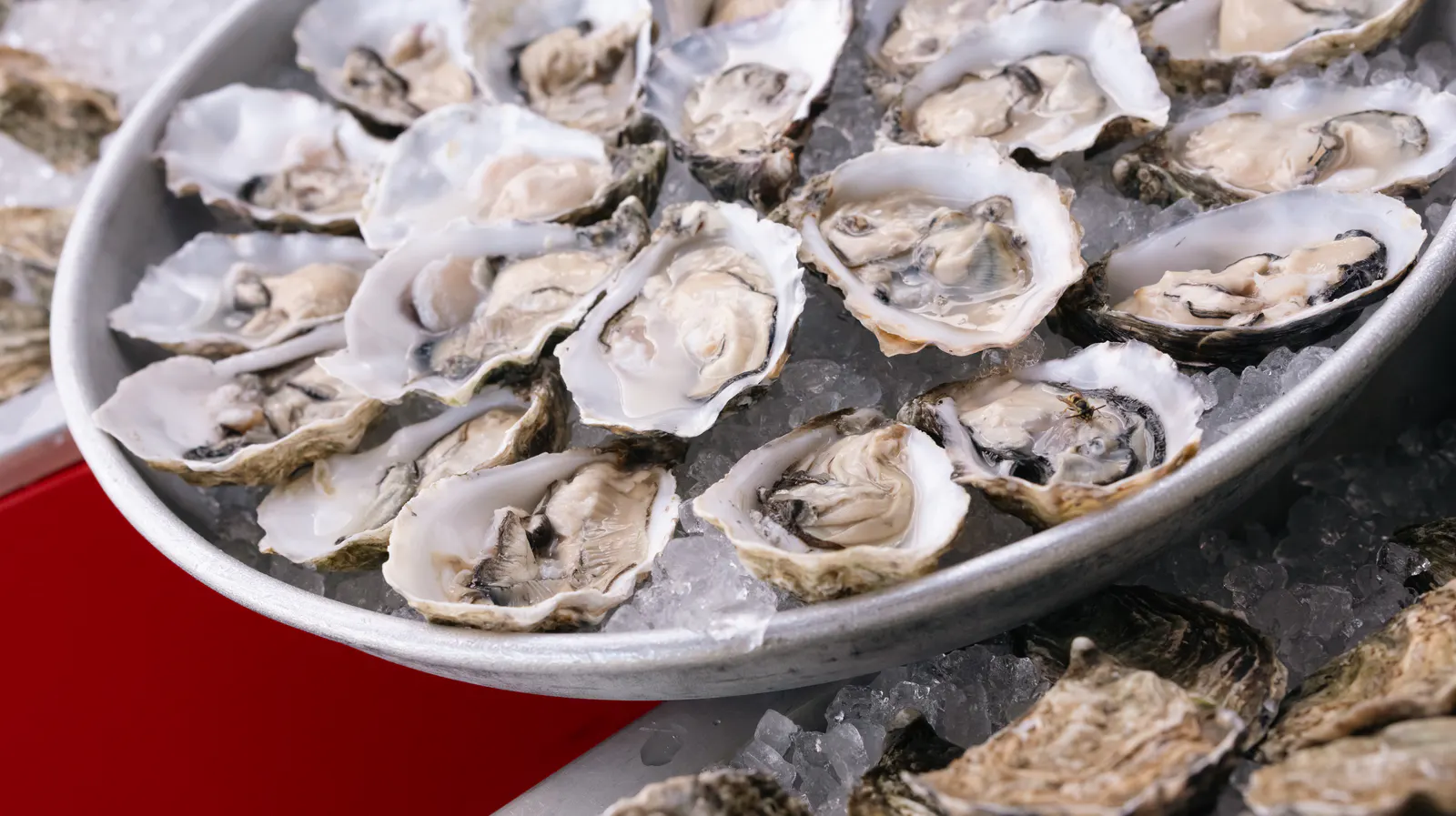 A platter of oysters on ice